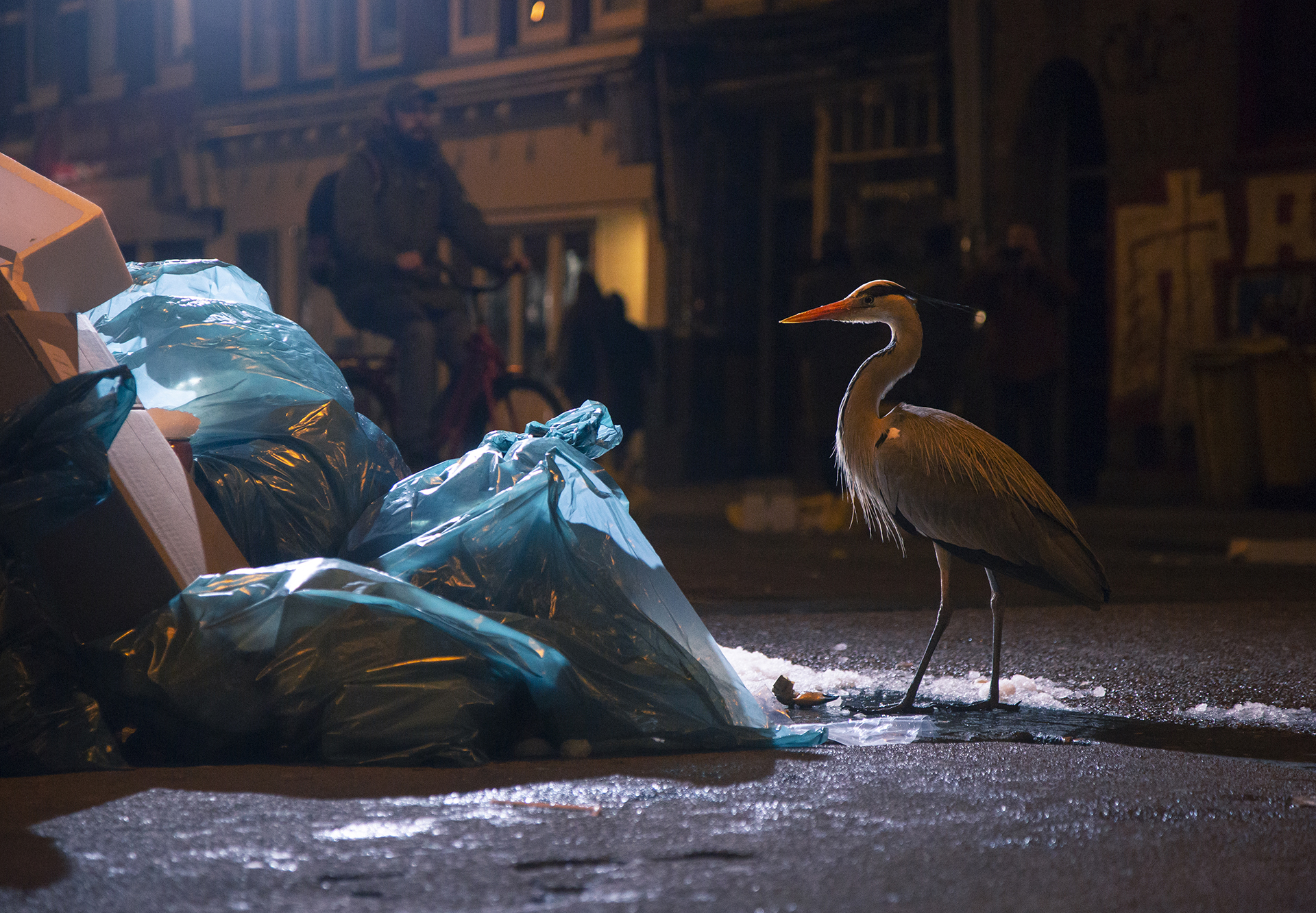 2019_GroeneCamera_Inzending_PF01