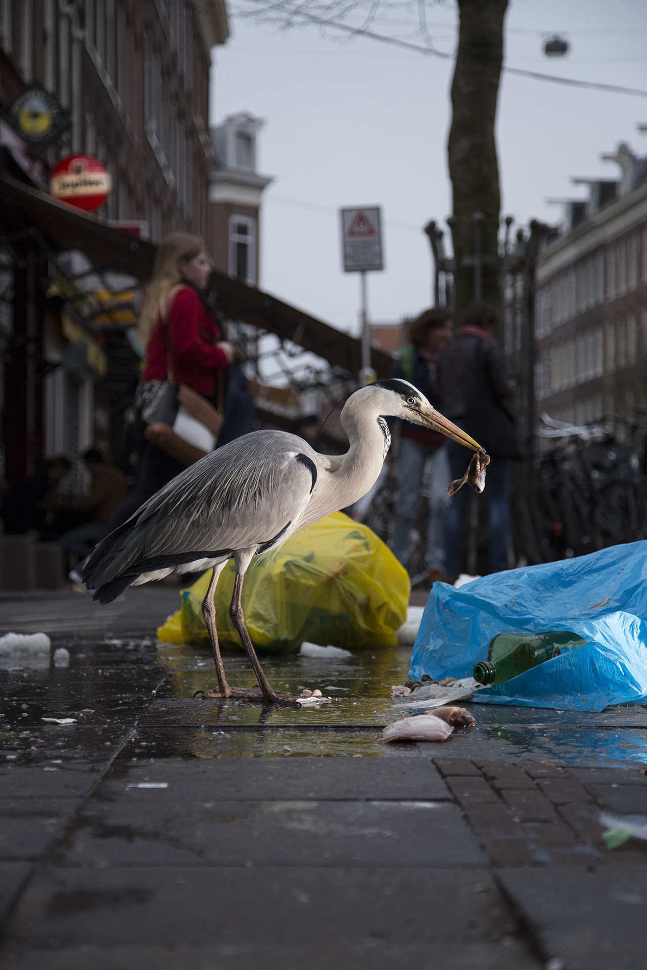 2019_GroeneCamera_Inzending_PF02