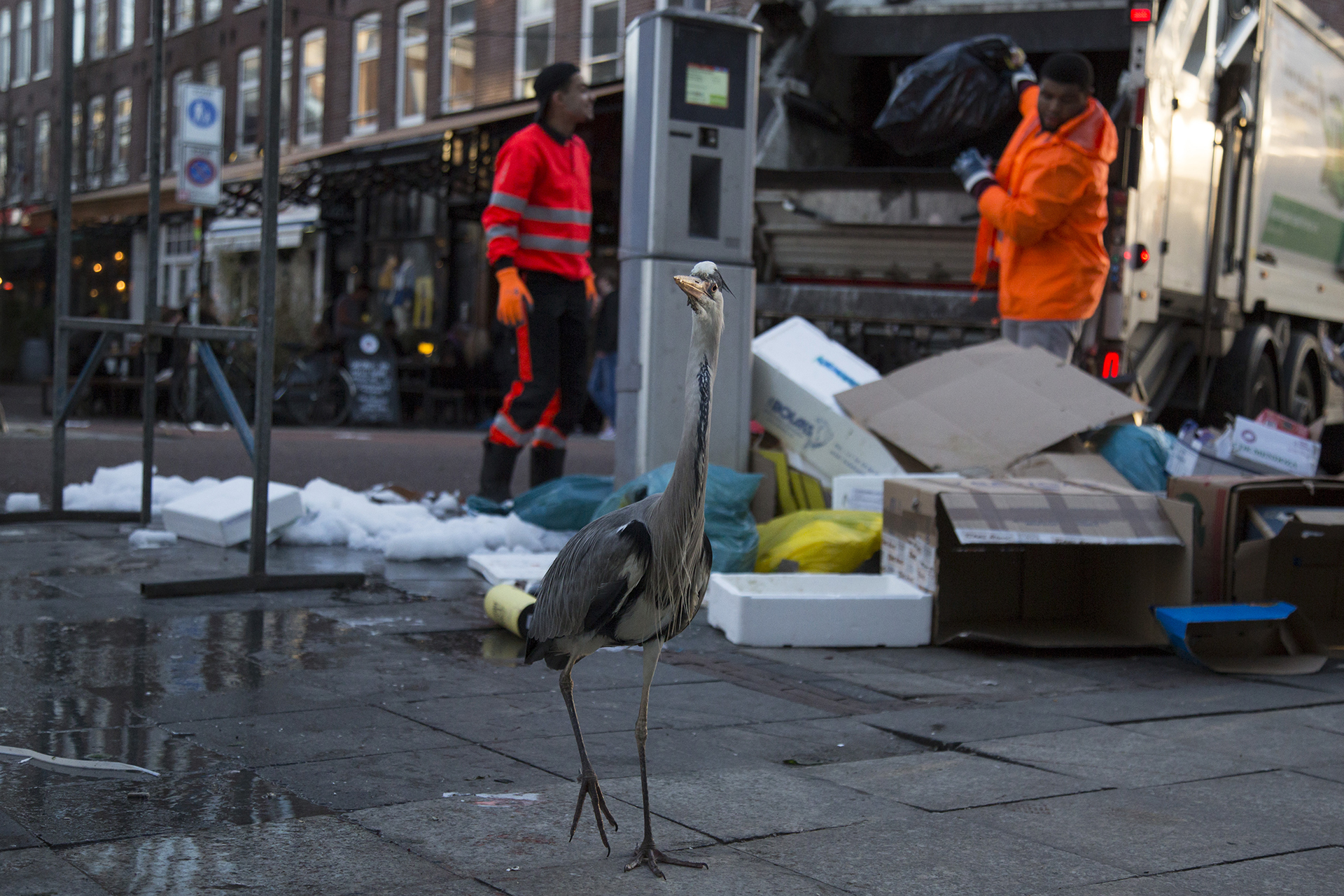 2019_GroeneCamera_Inzending_PF03