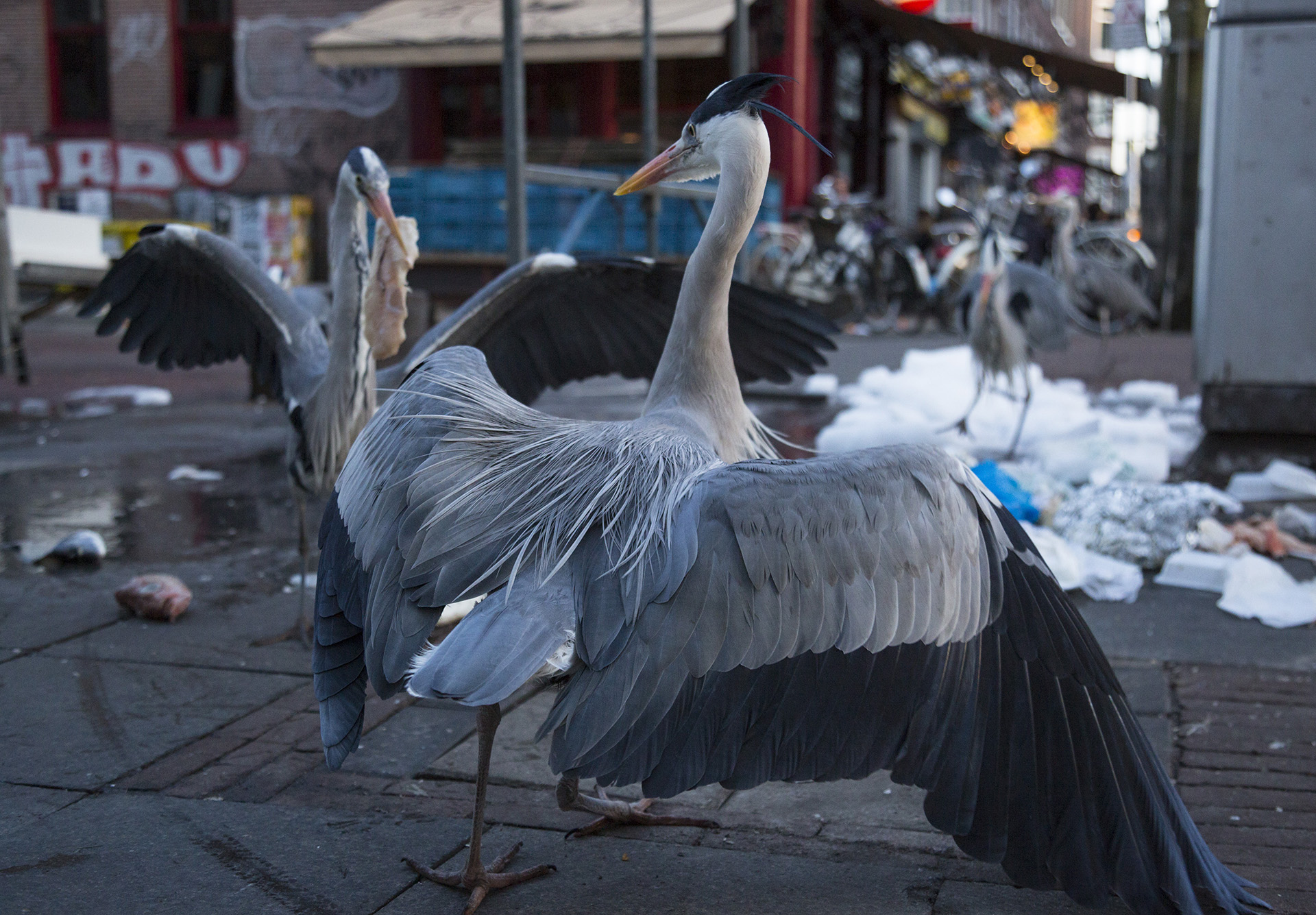 2019_GroeneCamera_Inzending_PF04