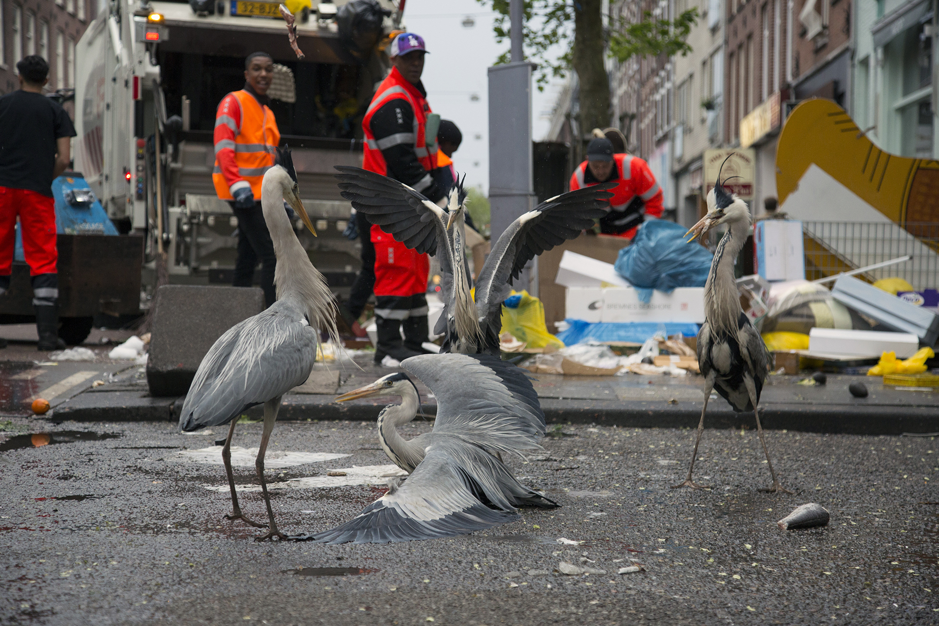 2019_GroeneCamera_Inzending_PF13