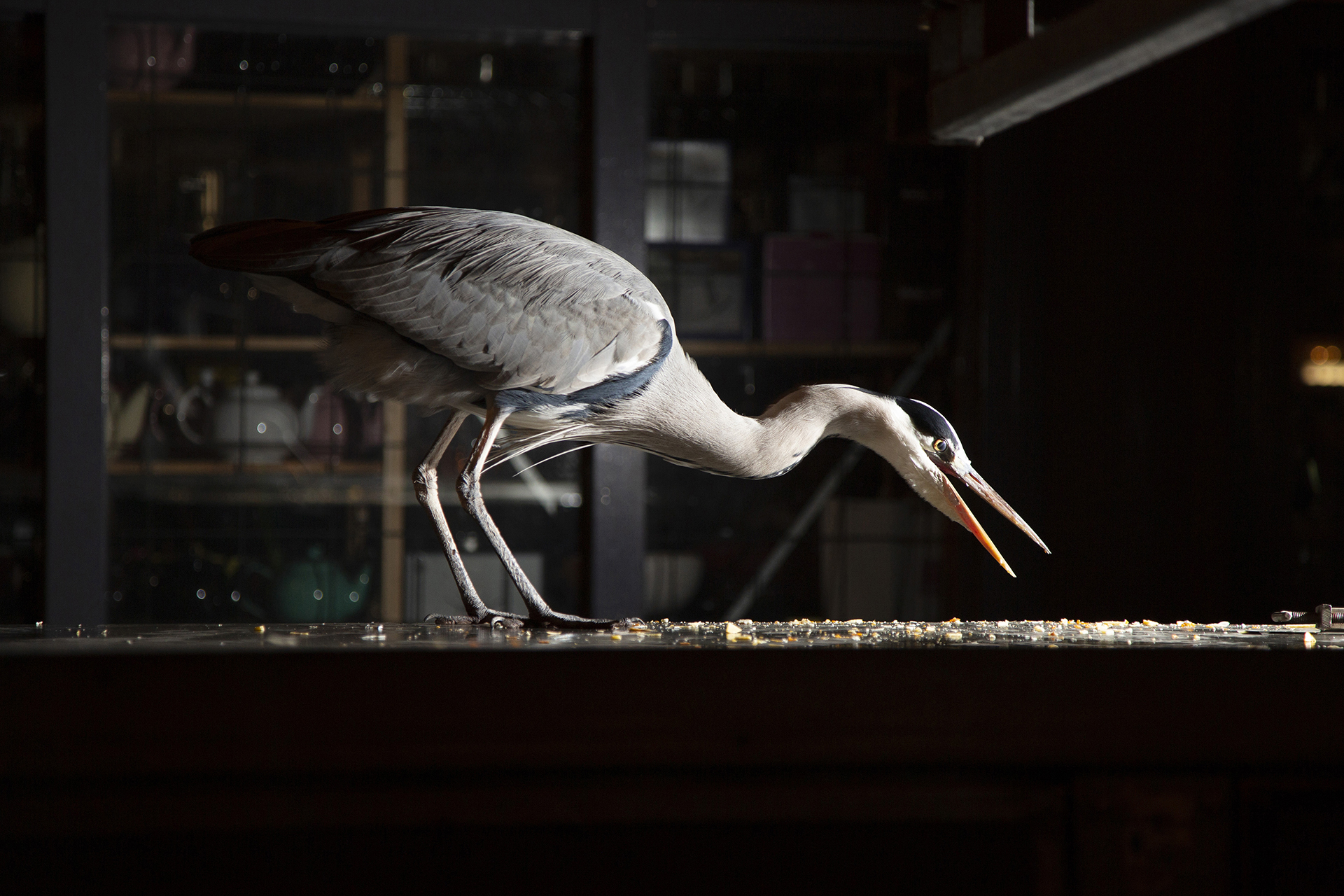 2019_GroeneCamera_Inzending_PF16b