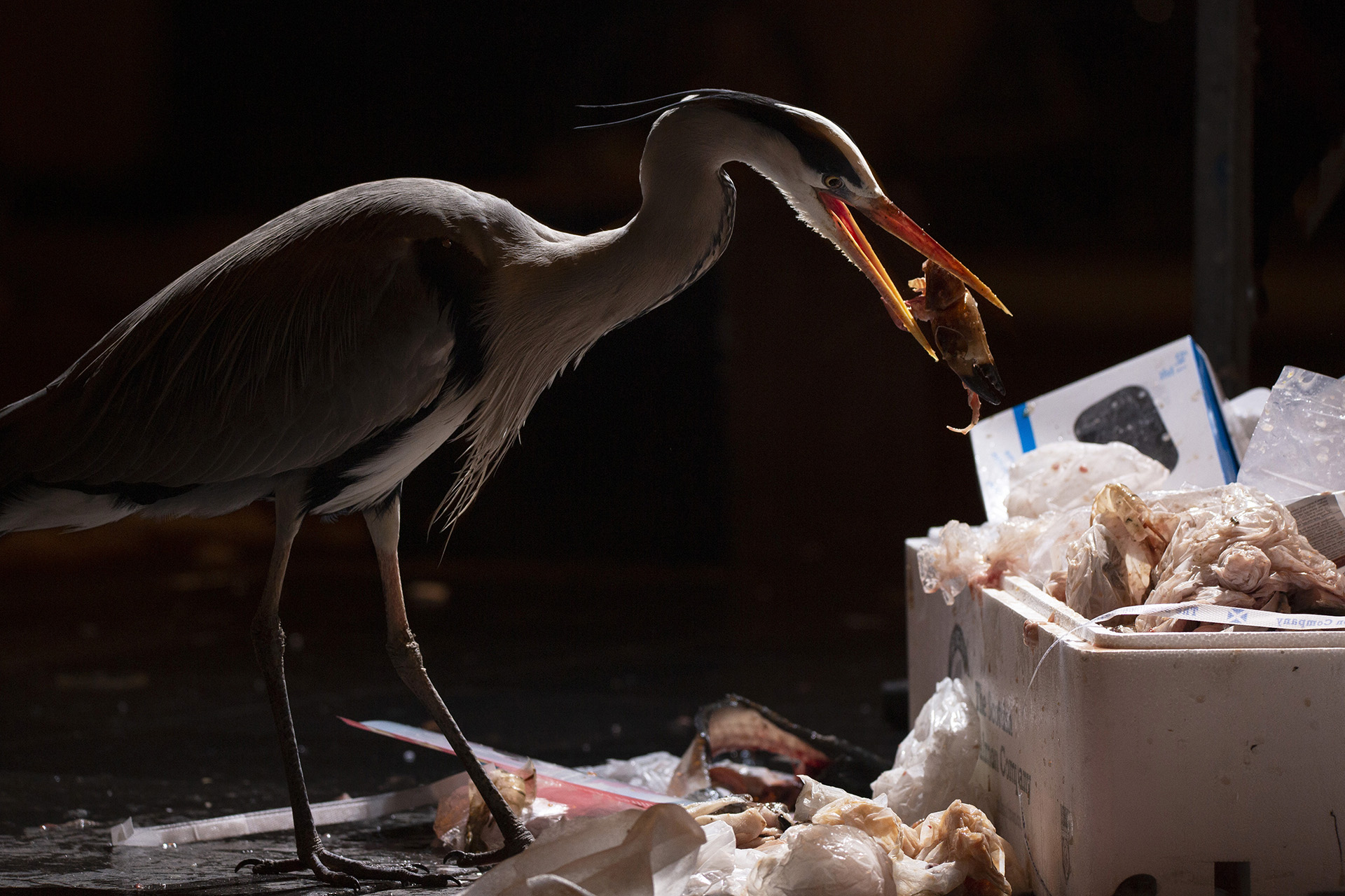 2019_MP_inzending_06