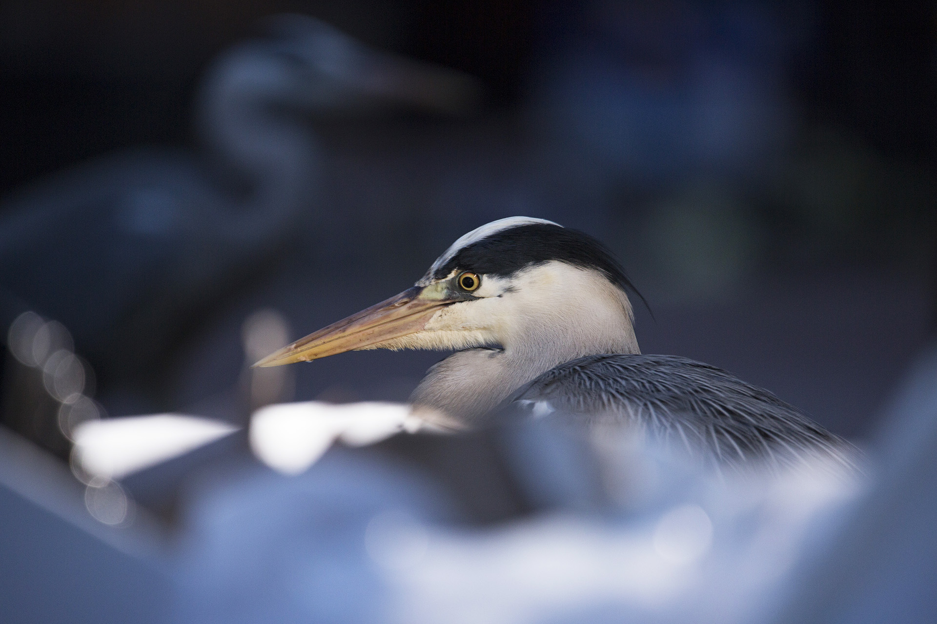 2019_MP_inzending_07